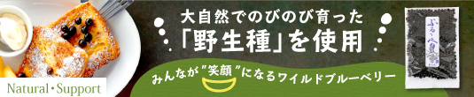 ワイルドブルーベリー