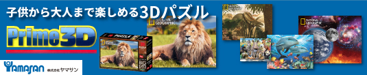 3Dパズル