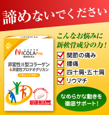 エムエスコーポレーション