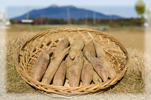 つくばヤーコン株式会社 そのまんま通販 特産品ギフトを産直お取り寄せ