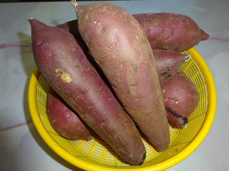 さつまいも 紅はるか 5kg ギフト フルーツ 野菜ギフト 野菜 サツマイモ 茨城 野菜 きのこ そのまんま通販 特産品ギフトを産直お取り寄せ さつまいも 紅はるか 5kg ギフト フルーツ 野菜ギフト 野菜 サツマイモ 茨城 野菜 きのこ そのまんま通販 特産品ギフトを産直お取り寄せ