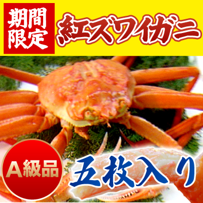 Ａ級品】ボイル紅ズワイガニ ５枚入り【送料込】][水産物 : 蟹（カニ 