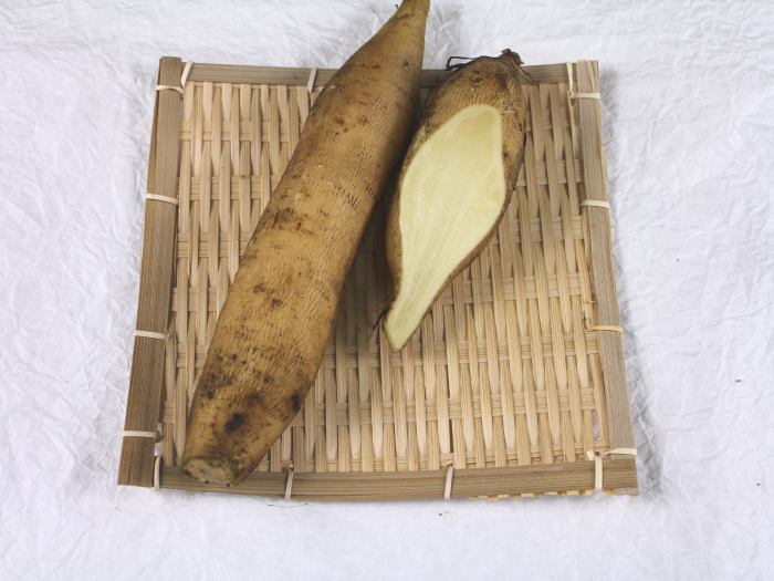 アンデスの雪 アンデスの乙女 サラダ乙女ヤーコン生芋 5ｋｇ 野菜 ヤーコン 茨城 野菜 きのこ そのまんま通販 特産品ギフトを産直お取り寄せ