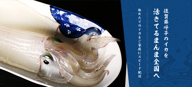 いか道楽 有限会社宮本水産 そのまんま通販 特産品ギフトを産直お取り寄せ